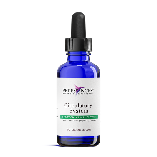 Circulatory System Formula  for Dogs, Cats, and more - Pet Essences