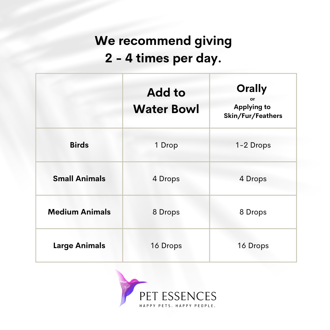 Pet Essences Calming Solution for Dogs, Cats, Horses and more