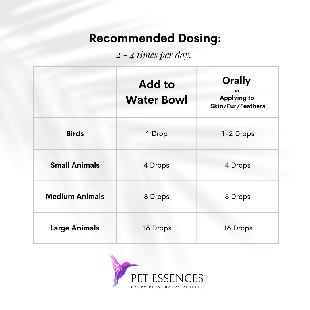 Thunder Storms Formula for Dogs, Cats, and more - Pet Essences