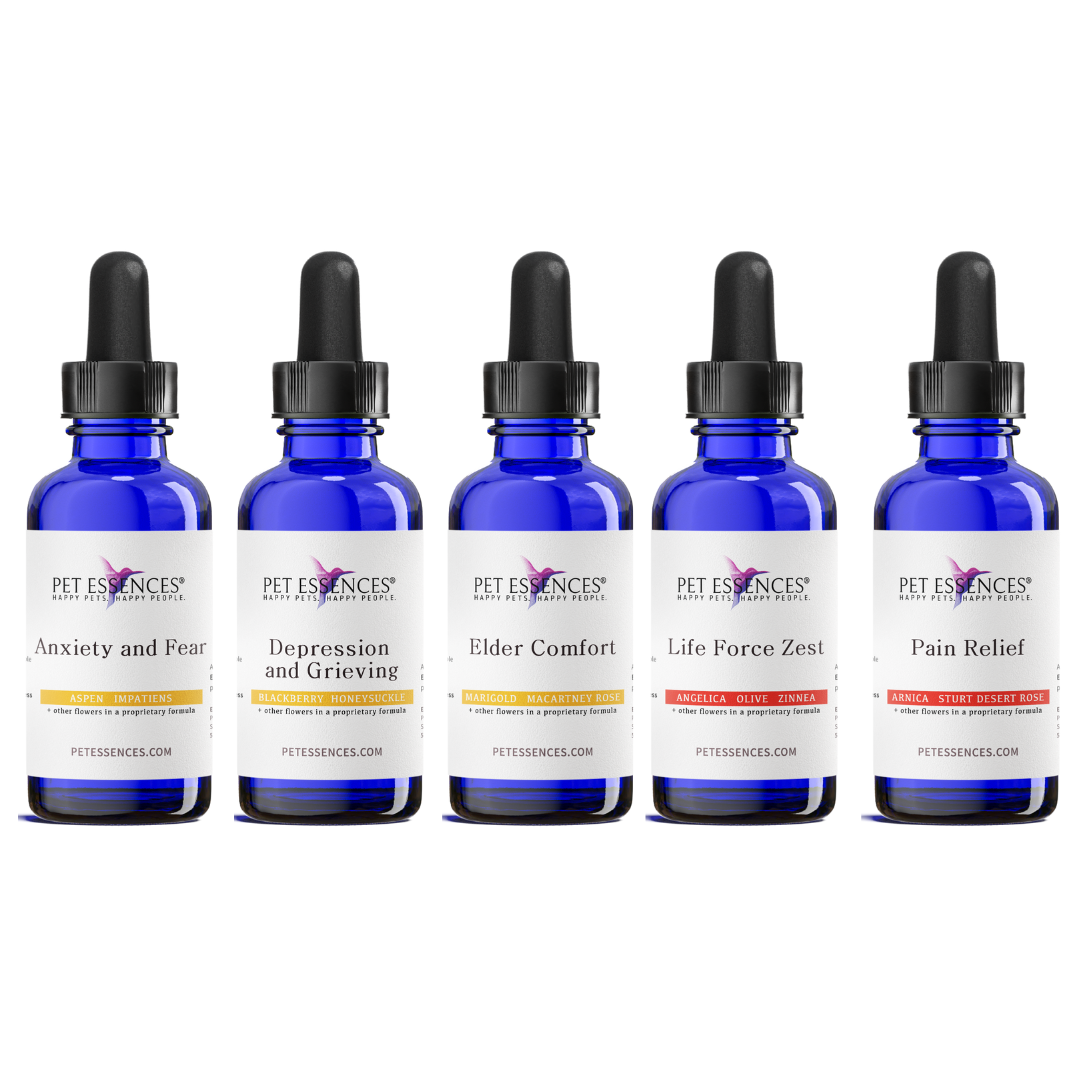 Pet Essences Elder Care Bundle, five flower essence bottles for dogs and cats