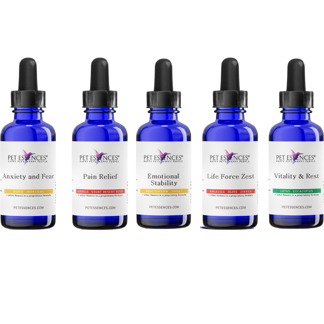 Pet Essences End of Life Bundle, five flower essence bottles for dogs and cats
