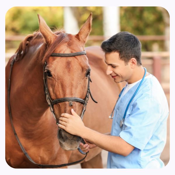 Flower Essences for Large Animal Practitioners