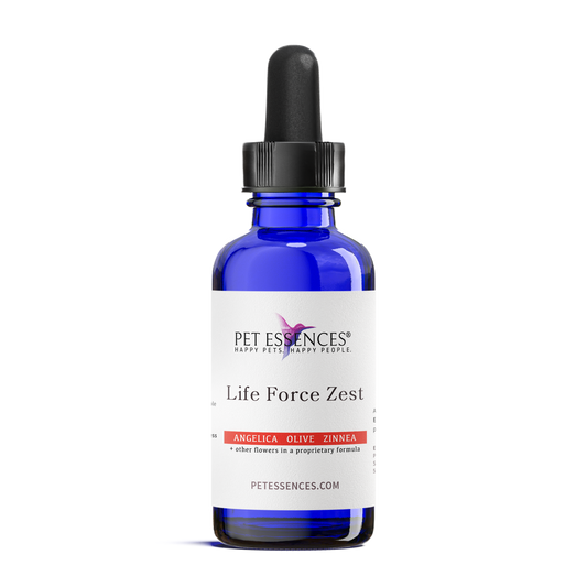 Pet Essences Life Force Zest for Dogs, Cats, Horses and more