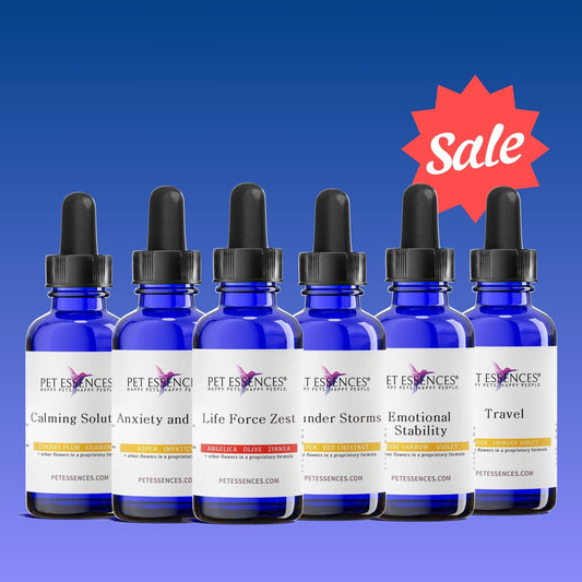 4th of July Calming Bundle