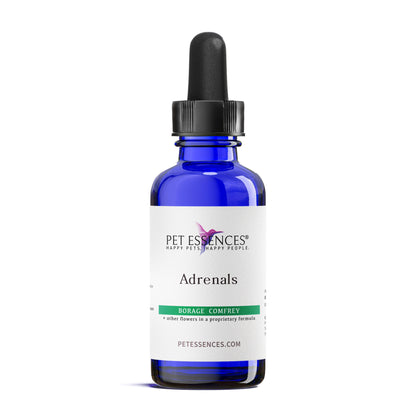 Pet Essences Adrenals Formula